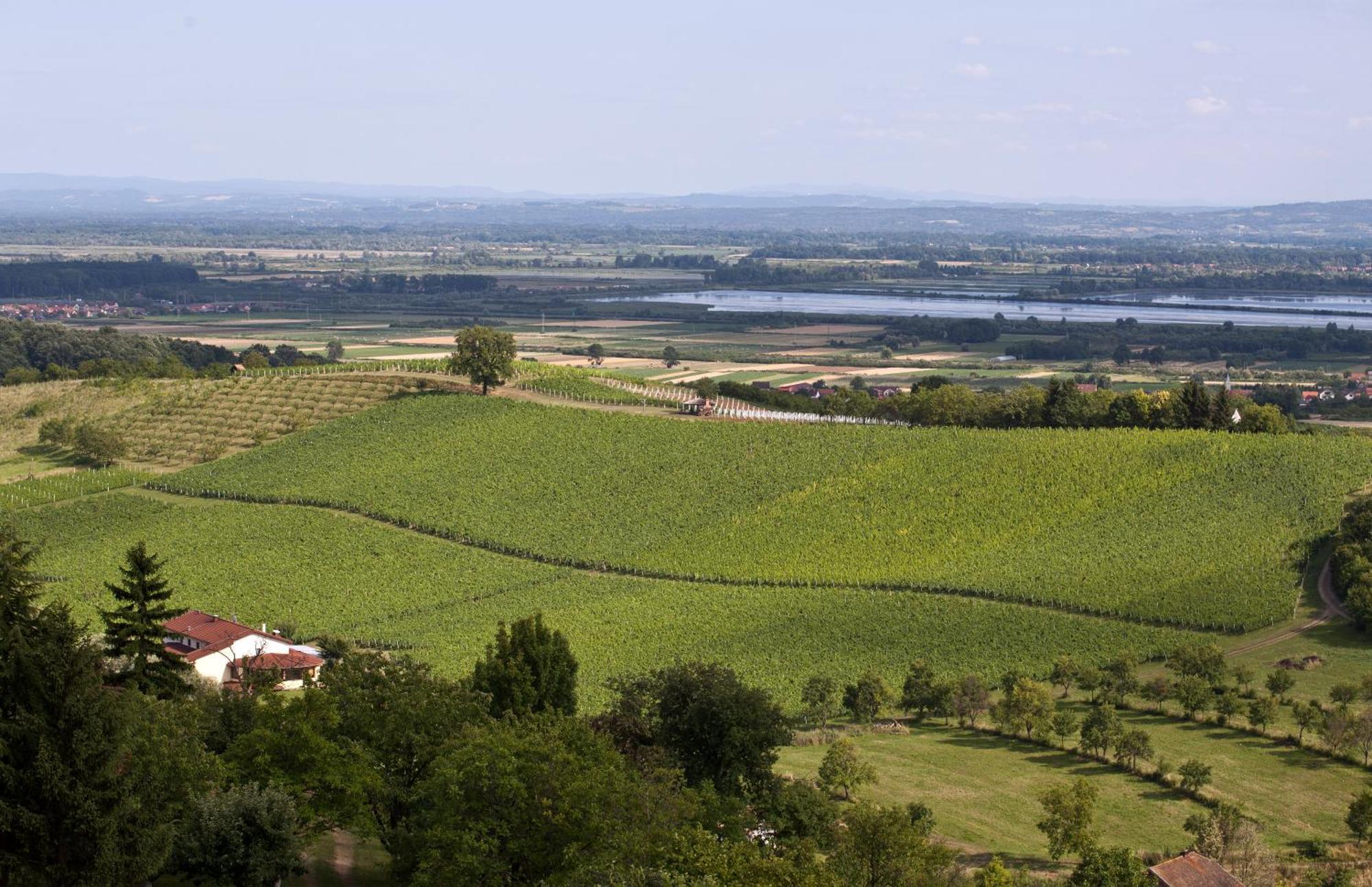 ברודסקי סטופניק Stupnicki Dvori Winery Hotel מראה חיצוני תמונה